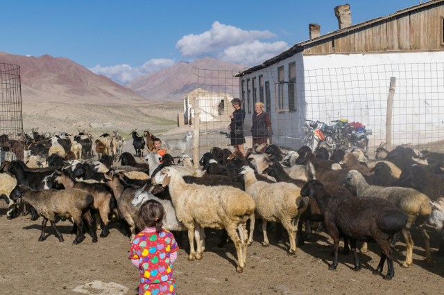 LRM_EXPORT_20190527_081108